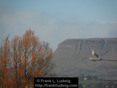 Benbulben